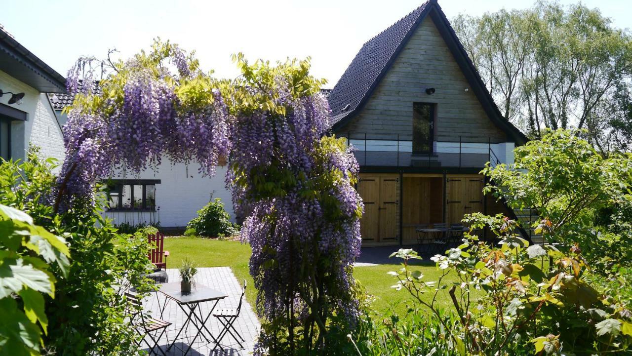 We Maison D'Hotes Cassel Exterior foto